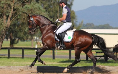 12711111_1022463144480347_3336962191362971379_o