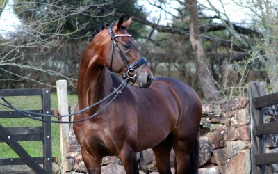 13699322_10210056909286358_1190886513_o