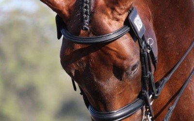 16179617_1713733115605506_3323637853143780839_o