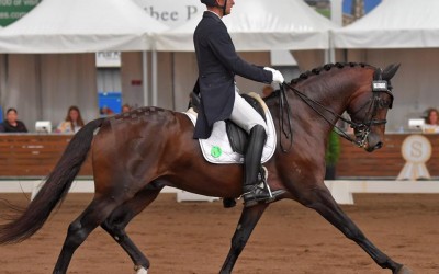 17759903_10212590698429503_8911743416054058674_n